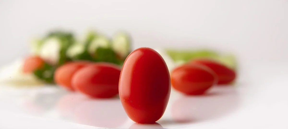 Une salade végétarienne équilibrée, ça veut dire quoi concrètement ?
